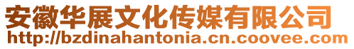 安徽華展文化傳媒有限公司