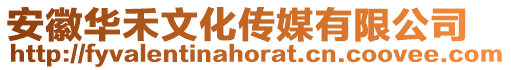 安徽華禾文化傳媒有限公司