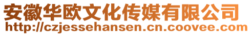 安徽華歐文化傳媒有限公司