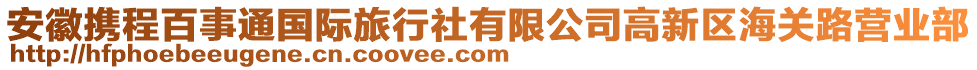 安徽攜程百事通國際旅行社有限公司高新區海關路營業部