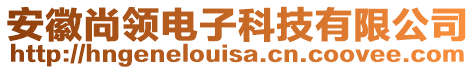 安徽尚領電子科技有限公司