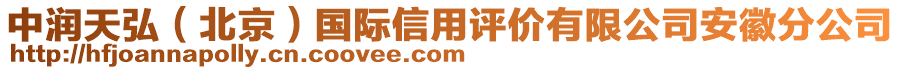 中潤天弘（北京）國際信用評價(jià)有限公司安徽分公司