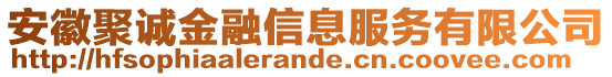 安徽聚誠(chéng)金融信息服務(wù)有限公司