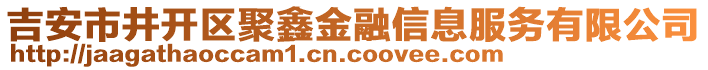 吉安市井開區(qū)聚鑫金融信息服務(wù)有限公司