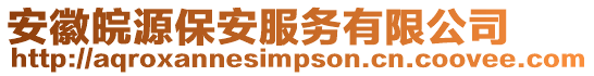 安徽皖源保安服務有限公司