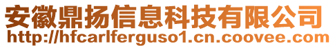 安徽鼎揚(yáng)信息科技有限公司