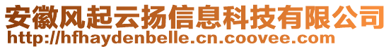 安徽風(fēng)起云揚(yáng)信息科技有限公司