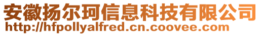 安徽揚(yáng)爾珂信息科技有限公司