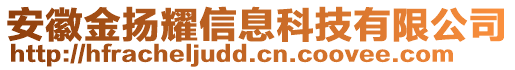 安徽金揚(yáng)耀信息科技有限公司