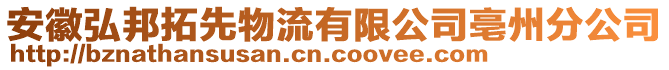 安徽弘邦拓先物流有限公司亳州分公司