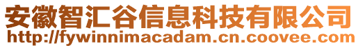 安徽智匯谷信息科技有限公司