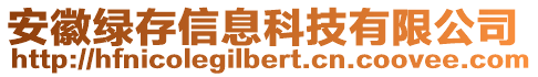 安徽綠存信息科技有限公司