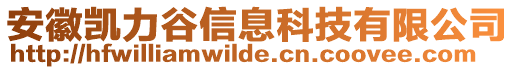 安徽凱力谷信息科技有限公司