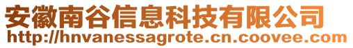 安徽南谷信息科技有限公司