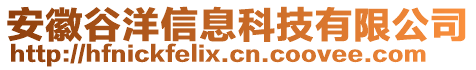 安徽谷洋信息科技有限公司