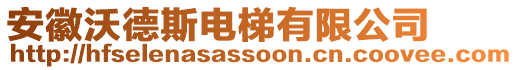 安徽沃德斯電梯有限公司