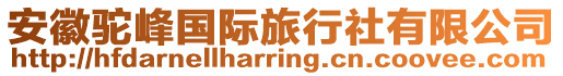 安徽駝峰國際旅行社有限公司