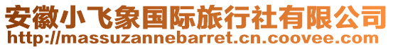 安徽小飞象国际旅行社有限公司