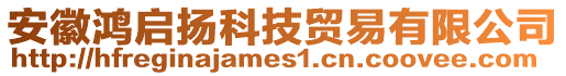 安徽鴻啟揚(yáng)科技貿(mào)易有限公司