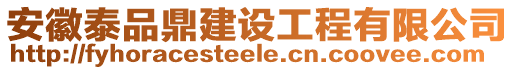 安徽泰品鼎建設(shè)工程有限公司