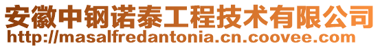 安徽中鋼諾泰工程技術(shù)有限公司