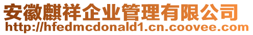 安徽麒祥企業(yè)管理有限公司