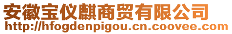 安徽宝仪麒商贸有限公司