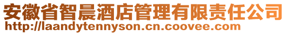 安徽省智晨酒店管理有限責(zé)任公司