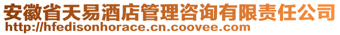 安徽省天易酒店管理咨詢有限責(zé)任公司