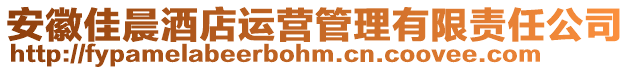 安徽佳晨酒店運(yùn)營(yíng)管理有限責(zé)任公司