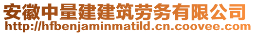 安徽中量建建筑勞務(wù)有限公司