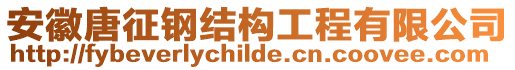 安徽唐征鋼結(jié)構(gòu)工程有限公司