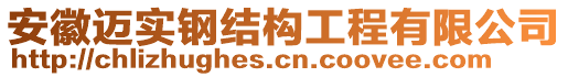 安徽邁實(shí)鋼結(jié)構(gòu)工程有限公司