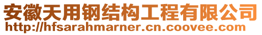 安徽天用鋼結(jié)構(gòu)工程有限公司