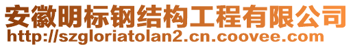 安徽明標鋼結(jié)構(gòu)工程有限公司