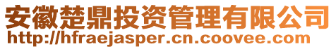 安徽楚鼎投資管理有限公司