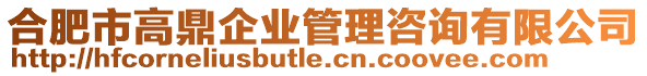 合肥市高鼎企業(yè)管理咨詢有限公司