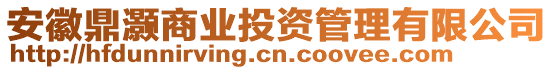 安徽鼎灝商業(yè)投資管理有限公司