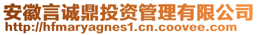 安徽言誠(chéng)鼎投資管理有限公司