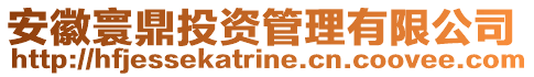 安徽寰鼎投資管理有限公司