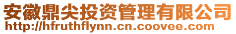 安徽鼎尖投資管理有限公司