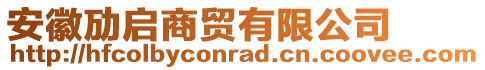 安徽勱啟商貿(mào)有限公司