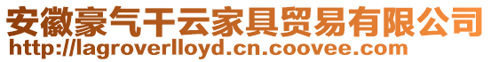 安徽豪气干云家具贸易有限公司