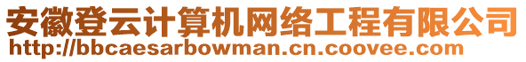 安徽登云計算機網(wǎng)絡工程有限公司