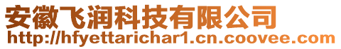 安徽飛潤科技有限公司