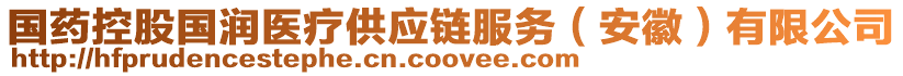 國藥控股國潤醫(yī)療供應鏈服務（安徽）有限公司