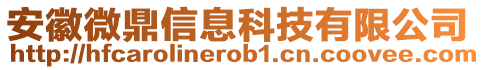 安徽微鼎信息科技有限公司