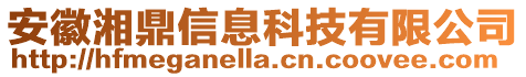 安徽湘鼎信息科技有限公司