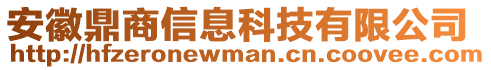 安徽鼎商信息科技有限公司