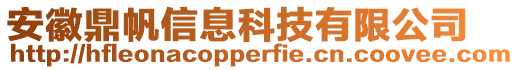 安徽鼎帆信息科技有限公司